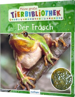 Buchcover Meine große Tierbibliothek: Der Frosch | Paul Starosta | EAN 9783480236244 | ISBN 3-480-23624-3 | ISBN 978-3-480-23624-4