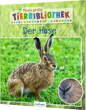 Buchcover Meine große Tierbibliothek: Der Hase | Dr. Jens Poschadel | EAN 9783480236251 | ISBN 3-480-23625-1 | ISBN 978-3-480-23625-1