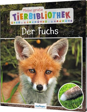 Buchcover Meine große Tierbibliothek: Der Fuchs | Christian Havard | EAN 9783480236565 | ISBN 3-480-23656-1 | ISBN 978-3-480-23656-5