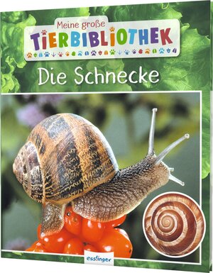 Buchcover Meine große Tierbibliothek: Die Schnecke | Paul Starosta | EAN 9783480236589 | ISBN 3-480-23658-8 | ISBN 978-3-480-23658-9