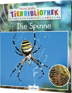 Buchcover Meine große Tierbibliothek: Die Spinne | Dr. Jens Poschadel | EAN 9783480237128 | ISBN 3-480-23712-6 | ISBN 978-3-480-23712-8