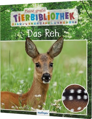 Buchcover Meine große Tierbibliothek: Das Reh | Dr. Jens Poschadel | EAN 9783480237753 | ISBN 3-480-23775-4 | ISBN 978-3-480-23775-3