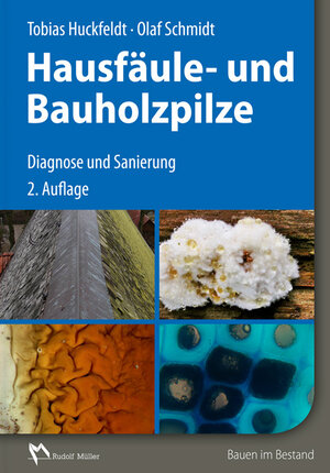 Buchcover Hausfäule- und Bauholzpilze | Tobias Huckfeldt | EAN 9783481031008 | ISBN 3-481-03100-9 | ISBN 978-3-481-03100-8