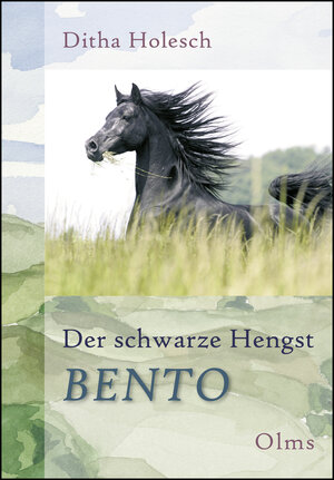 Buchcover Der schwarze Hengst Bento | Ditha Holesch | EAN 9783487084619 | ISBN 3-487-08461-9 | ISBN 978-3-487-08461-9