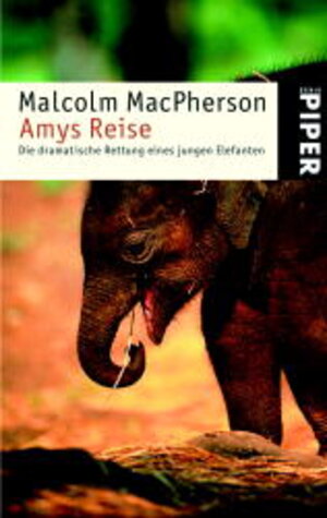 Buchcover Amys Reise | Malcolm MacPherson | EAN 9783492237437 | ISBN 3-492-23743-6 | ISBN 978-3-492-23743-7