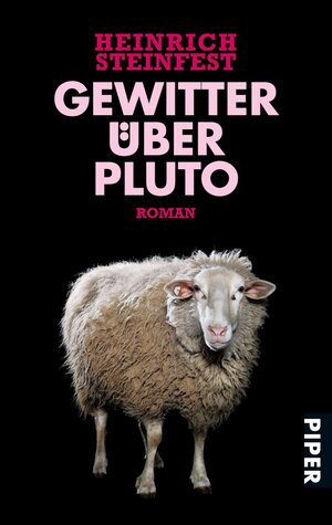 Buchcover Gewitter über Pluto | Heinrich Steinfest | EAN 9783492263665 | ISBN 3-492-26366-6 | ISBN 978-3-492-26366-5