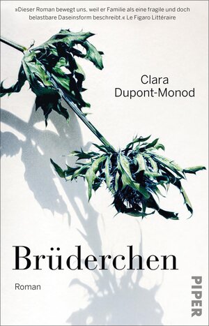 Buchcover Brüderchen | Clara Dupont-Monod | EAN 9783492320863 | ISBN 3-492-32086-4 | ISBN 978-3-492-32086-3