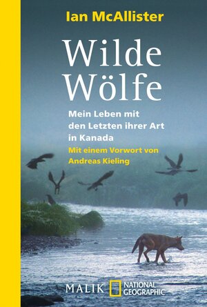 Buchcover Wilde Wölfe | Ian McAllister | EAN 9783492404389 | ISBN 3-492-40438-3 | ISBN 978-3-492-40438-9