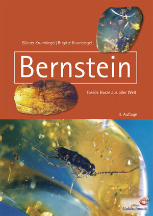 Bernstein - Fossile Harze aus aller Welt