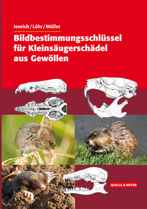 Buchcover Bildbestimmungsschlüssel für Kleinsäugerschädel aus Gewöllen | Joachim Jenrich | EAN 9783494015224 | ISBN 3-494-01522-8 | ISBN 978-3-494-01522-4