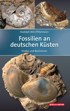 Buchcover Fossilien an deutschen Küsten | Frank Rudolph | EAN 9783494015903 | ISBN 3-494-01590-2 | ISBN 978-3-494-01590-3