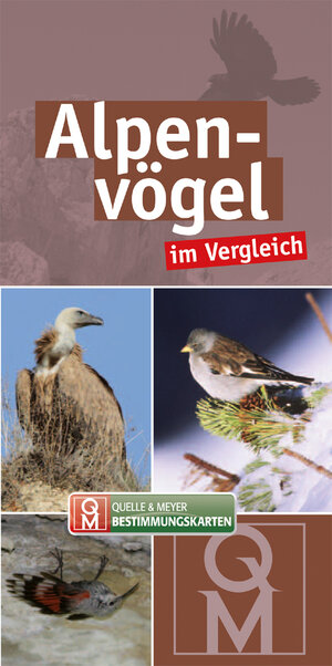 Buchcover Alpenvögel im Vergleich  | EAN 9783494016382 | ISBN 3-494-01638-0 | ISBN 978-3-494-01638-2