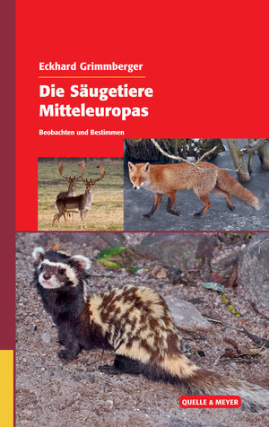 Buchcover Die Säugetiere Mitteleuropas | Eckhard Grimmberger | EAN 9783494016450 | ISBN 3-494-01645-3 | ISBN 978-3-494-01645-0