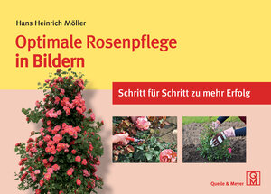 Buchcover Optimale Rosenpflege in Bildern | Hans Heinrich Möller | EAN 9783494016504 | ISBN 3-494-01650-X | ISBN 978-3-494-01650-4