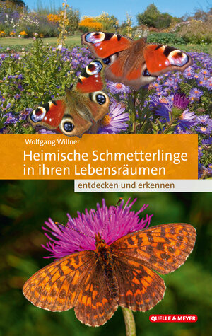 Buchcover Heimische Schmetterlinge in ihren Lebensräumen | Wolfgang Willner | EAN 9783494016597 | ISBN 3-494-01659-3 | ISBN 978-3-494-01659-7