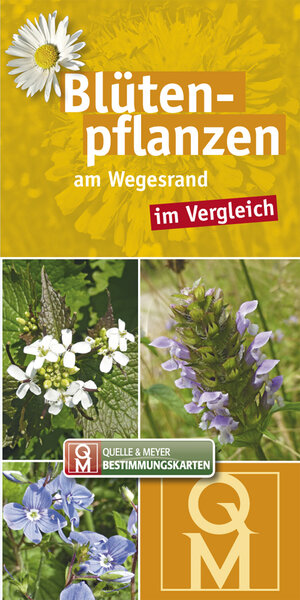 Buchcover Blütenpflanzen am Wegesrand  | EAN 9783494016825 | ISBN 3-494-01682-8 | ISBN 978-3-494-01682-5