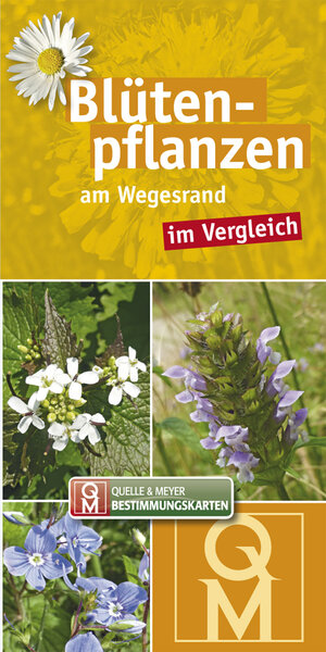 Buchcover Blütenpflanzen am Wegesrand im Vergleich  | EAN 9783494017075 | ISBN 3-494-01707-7 | ISBN 978-3-494-01707-5