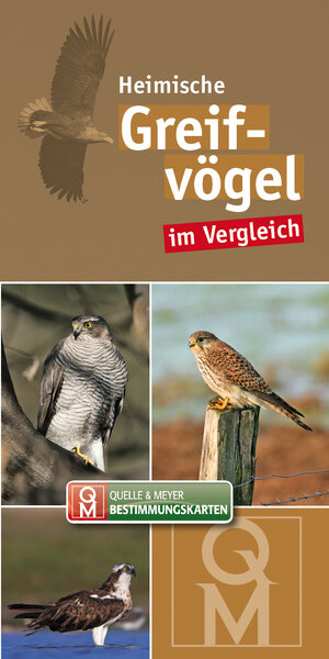 Buchcover Greifvögel  | EAN 9783494017099 | ISBN 3-494-01709-3 | ISBN 978-3-494-01709-9