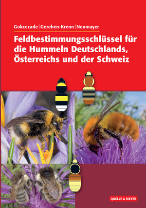 Buchcover Feldbestimmungsschlüssel für die Hummeln Deutschlands, Österreichs und der Schweiz | Joseph Gokcezade | EAN 9783494017150 | ISBN 3-494-01715-8 | ISBN 978-3-494-01715-0
