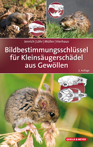 Buchcover Bildbestimmungsschlüssel für Kleinsäugerschädel aus Gewöllen | Joachim Jenrich | EAN 9783494017273 | ISBN 3-494-01727-1 | ISBN 978-3-494-01727-3