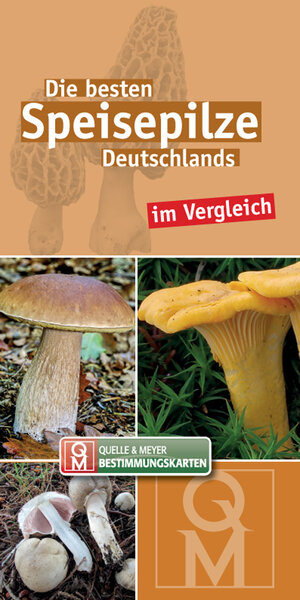 Buchcover Die besten Speisepilze Deutschlands im Vergleich  | EAN 9783494017365 | ISBN 3-494-01736-0 | ISBN 978-3-494-01736-5