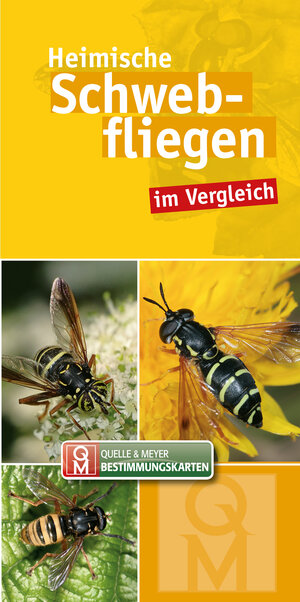 Buchcover Heimische Schwebfliegen  | EAN 9783494017754 | ISBN 3-494-01775-1 | ISBN 978-3-494-01775-4