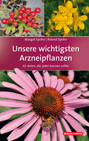 Buchcover Unsere wichtigsten Arzneipflanzen | Margot Spohn | EAN 9783494017792 | ISBN 3-494-01779-4 | ISBN 978-3-494-01779-2