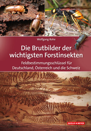 Buchcover Die Brutbilder der wichtigsten Forstinsekten | Wolfgang Rohe | EAN 9783494017938 | ISBN 3-494-01793-X | ISBN 978-3-494-01793-8