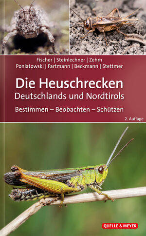 Buchcover Die Heuschrecken Deutschlands und Nordtirols | Jürgen Fischer | EAN 9783494017952 | ISBN 3-494-01795-6 | ISBN 978-3-494-01795-2