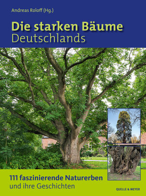 Buchcover Die starken Bäume Deutschlands  | EAN 9783494018140 | ISBN 3-494-01814-6 | ISBN 978-3-494-01814-0