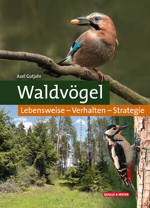 Buchcover Waldvögel | Axel Gutjahr | EAN 9783494018201 | ISBN 3-494-01820-0 | ISBN 978-3-494-01820-1