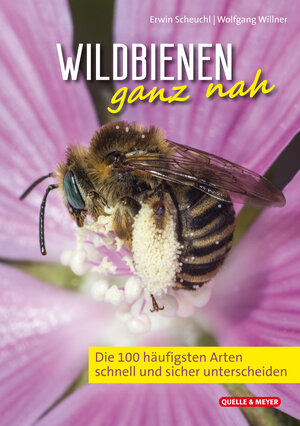 Buchcover Wildbienen ganz nah | Erwin Scheuchl | EAN 9783494018706 | ISBN 3-494-01870-7 | ISBN 978-3-494-01870-6