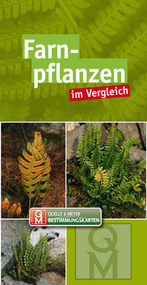 Buchcover Farnpflanzen im Vergleich  | EAN 9783494018829 | ISBN 3-494-01882-0 | ISBN 978-3-494-01882-9