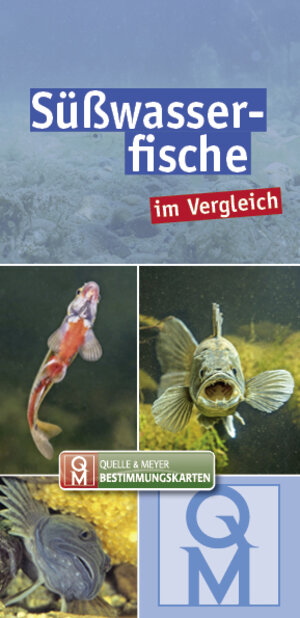Buchcover Süßwasserfische  | EAN 9783494018898 | ISBN 3-494-01889-8 | ISBN 978-3-494-01889-8