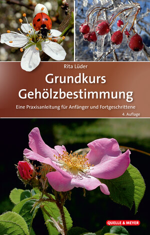 Buchcover Grundkurs Gehölzbestimmung | Rita Lüder | EAN 9783494019154 | ISBN 3-494-01915-0 | ISBN 978-3-494-01915-4