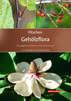 Buchcover Fitschen – Gehölzflora  | EAN 9783494019345 | ISBN 3-494-01934-7 | ISBN 978-3-494-01934-5