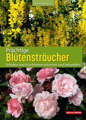 Buchcover Prächtige Blütensträucher | Klaus Margraf | EAN 9783494019420 | ISBN 3-494-01942-8 | ISBN 978-3-494-01942-0