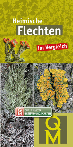 Buchcover Heimische Flechten  | EAN 9783494019475 | ISBN 3-494-01947-9 | ISBN 978-3-494-01947-5