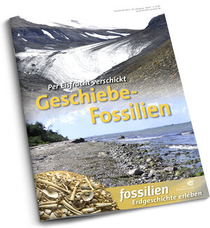 Buchcover Geschiebe-Fossilien | Jens Lehmann | EAN 9783494019550 | ISBN 3-494-01955-X | ISBN 978-3-494-01955-0