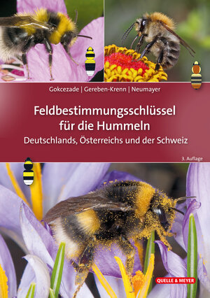 Buchcover Feldbestimmungsschlüssel für die Hummeln Deutschlands, Österreichs und der Schweiz | Joseph Gokcezade | EAN 9783494019581 | ISBN 3-494-01958-4 | ISBN 978-3-494-01958-1