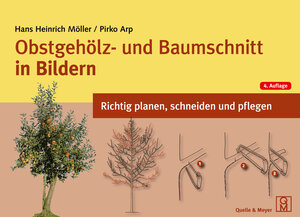 Buchcover Obstgehölz- und Baumschnitt in Bildern | Hans Heinrich Möller | EAN 9783494019628 | ISBN 3-494-01962-2 | ISBN 978-3-494-01962-8