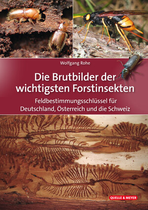 Buchcover Die Brutbilder der wichtigsten Forstinsekten | Wolfgang Rohe | EAN 9783494019758 | ISBN 3-494-01975-4 | ISBN 978-3-494-01975-8