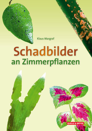 Buchcover Schadbilder an Zimmerpflanzen | Klaus Margraf | EAN 9783494019796 | ISBN 3-494-01979-7 | ISBN 978-3-494-01979-6