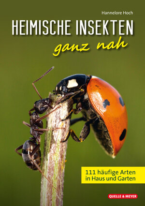 Buchcover Heimische Insekten ganz nah | Hannelore Hoch | EAN 9783494019802 | ISBN 3-494-01980-0 | ISBN 978-3-494-01980-2