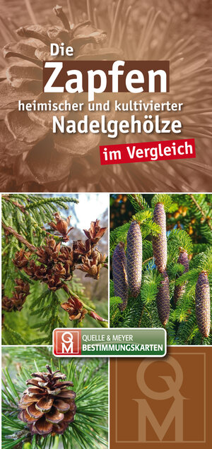 Buchcover Die Zapfen heimischer und kultivierter Nadelgehölze im Vergleich  | EAN 9783494019895 | ISBN 3-494-01989-4 | ISBN 978-3-494-01989-5
