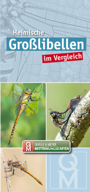 Buchcover Heimische Großlibellen im Vergleich | EAN 9783494022697 | ISBN 3-494-02269-0 | ISBN 978-3-494-02269-7