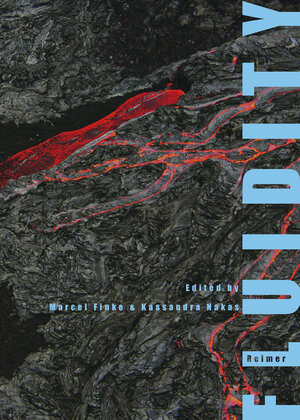 Buchcover Fluidity | Mathias Denecke | EAN 9783496016724 | ISBN 3-496-01672-8 | ISBN 978-3-496-01672-4