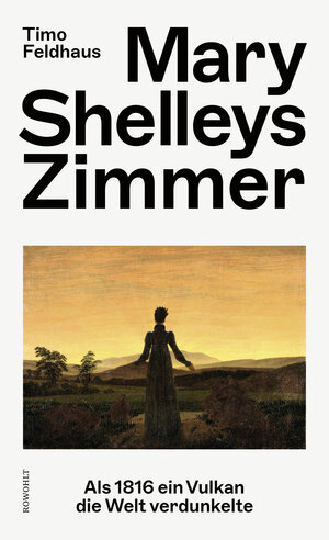 Buchcover Mary Shelleys Zimmer | Timo Feldhaus | EAN 9783498002367 | ISBN 3-498-00236-8 | ISBN 978-3-498-00236-7