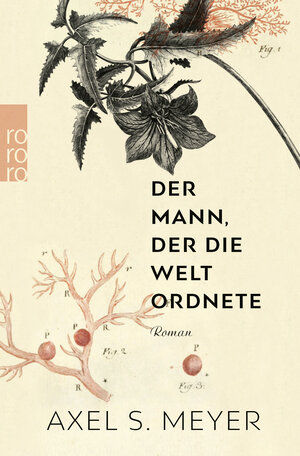 Buchcover Der Mann, der die Welt ordnete | Axel S. Meyer | EAN 9783499003349 | ISBN 3-499-00334-1 | ISBN 978-3-499-00334-9