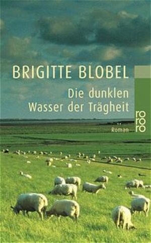 Buchcover Die dunklen Wasser der Trägheit | Brigitte Blobel | EAN 9783499228179 | ISBN 3-499-22817-3 | ISBN 978-3-499-22817-9